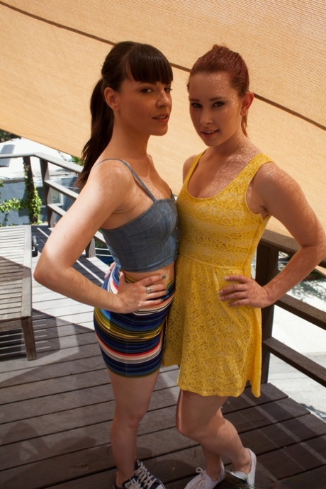 Brunette pornstar Dana DeArmond & redhead Melody Jordan toy with double dildo