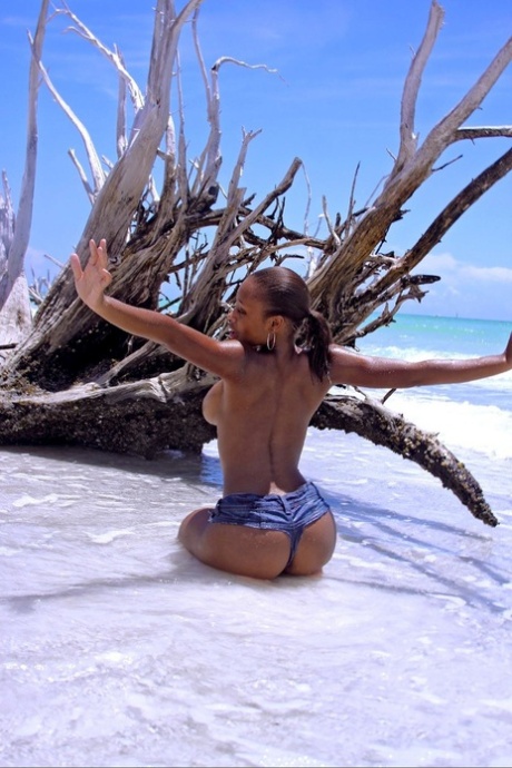 Ebony model Tierra poses naked and flaunts her big shiny tits on the beach