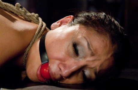 Sexy babe Vicki Chase gets a thorough anal pounding in rope bondage